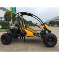 Couvercle en plastique Dune Buggy Go Kart pour jouet drôle (KD 150GKT-2)